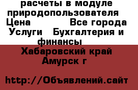 расчеты в модуле природопользователя › Цена ­ 3 000 - Все города Услуги » Бухгалтерия и финансы   . Хабаровский край,Амурск г.